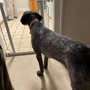 Meet your Posher, Anne